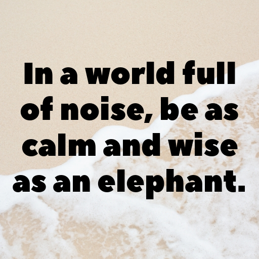 195+ Elephant Captions For Instagram In 2025 7 Elephant Captions Image For Instagram In 2025-X7h4tO