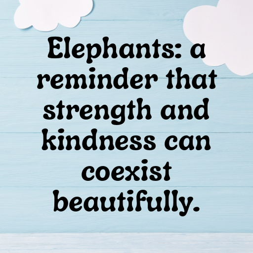 195+ Elephant Captions For Instagram In 2025 5 Elephant Captions Photo For Instagram In 2025-JkObEm