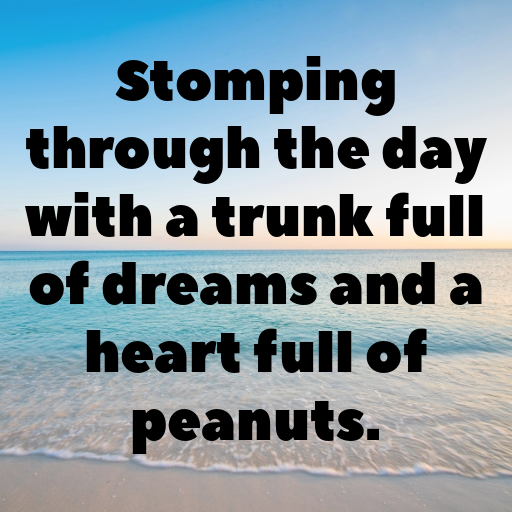 195+ Elephant Captions For Instagram In 2025 4 Elephant Captions Photo For Instagram In 2025-LoYHa4