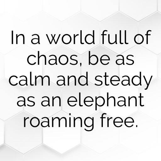 195+ Elephant Captions For Instagram In 2025 9 Elephant Captions Photo For Instagram In 2025-WLZE6Q