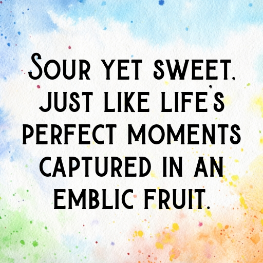 Emblic Captions Image For Instagram In [2025]-3sUC6i