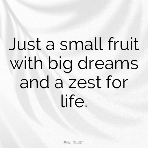 Emblic Captions Photo For Instagram In [2025]-4nIBip