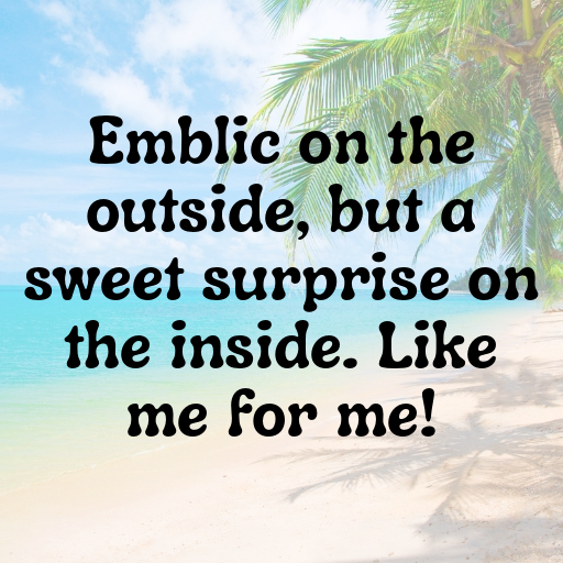 Emblic Captions Photo For Instagram In [2025]-OIgaS1