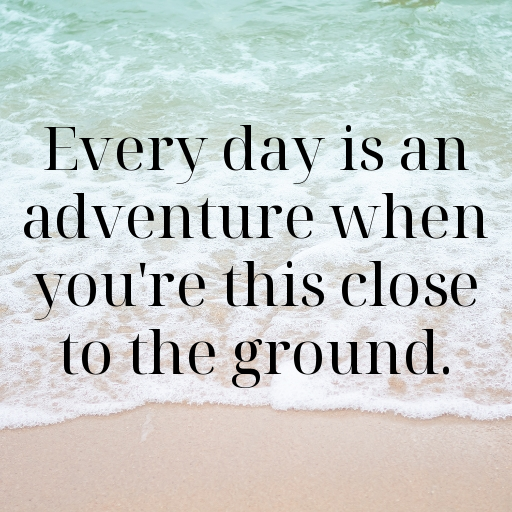 Enset Captions Image For Instagram In 2025-4QSTI2