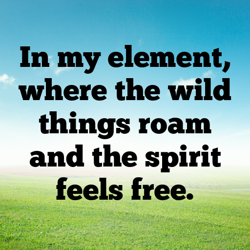 Entawak Captions Photo For Instagram In (2025)-MyL2yb