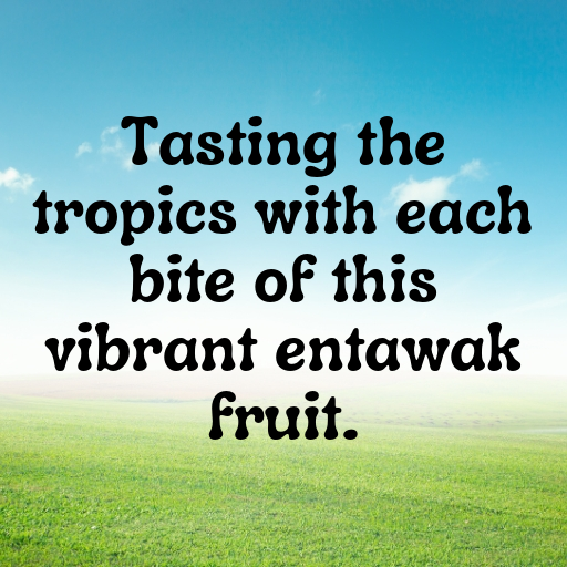 Entawak Captions Photo For Instagram In (2025)-vpbJvy