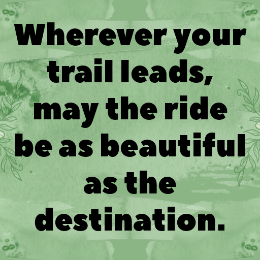 Equestrian Captions Photo for Instagram In [2025]-Wr4D9M