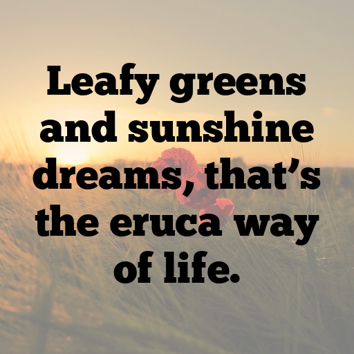 Eruca Captions Image For Instagram In (2025)-oY8jtQ