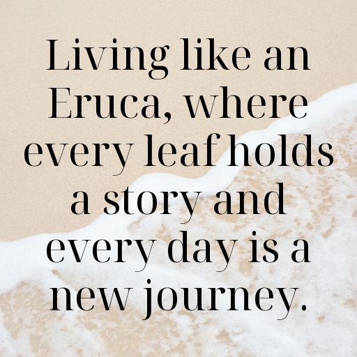 Eruca Captions Image For Instagram In (2025)-zPV2RP