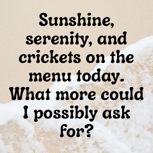 Eruca Captions Photo For Instagram In (2025)-tm8Hds