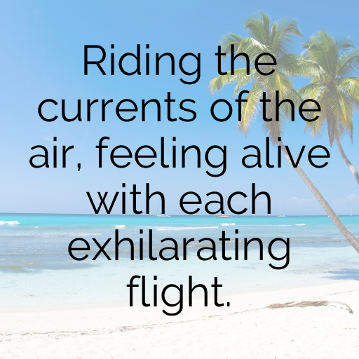 Falcon Captions Image For Instagram In 2025-aWmrTw