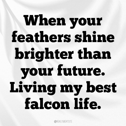 Falcon Captions Photo For Instagram In 2025-wyZkOc