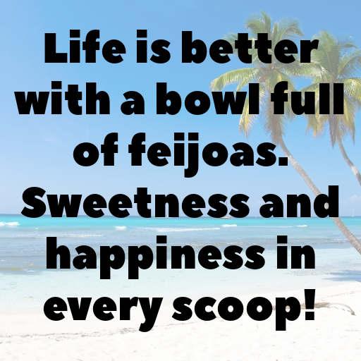 Feijoa Captions Image For Instagram In 2025-lVfVsS