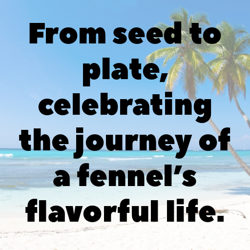 Fennel Captions Photo For Instagram In 2025-0qQ4FP