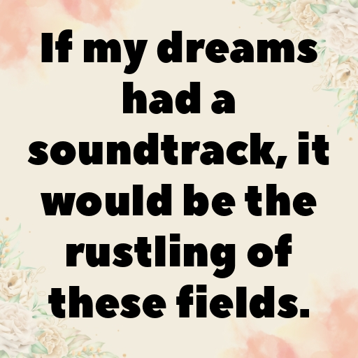 179+ Field of Dreams Captions for Instagram In (2025) 4 Field of Dreams Captions Image for Instagram In (2025)-Hrv93D