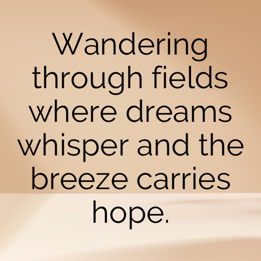 179+ Field of Dreams Captions for Instagram In (2025) 5 Field of Dreams Captions Image for Instagram In (2025)-LLE2ng