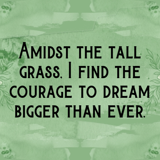 179+ Field of Dreams Captions for Instagram In (2025) 8 Field of Dreams Captions Image for Instagram In (2025)-WTunbm