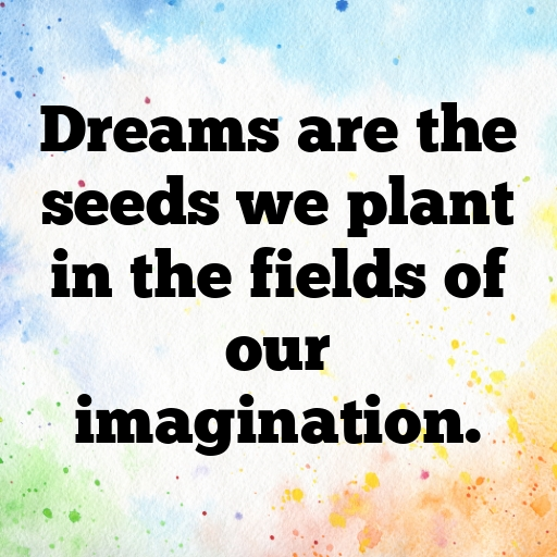 179+ Field of Dreams Captions for Instagram In (2025) 7 Field of Dreams Captions Photo for Instagram In (2025)-9m6Uja