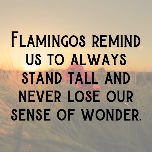 Flamingo Captions Image For Instagram In (2025)-L3yqmE