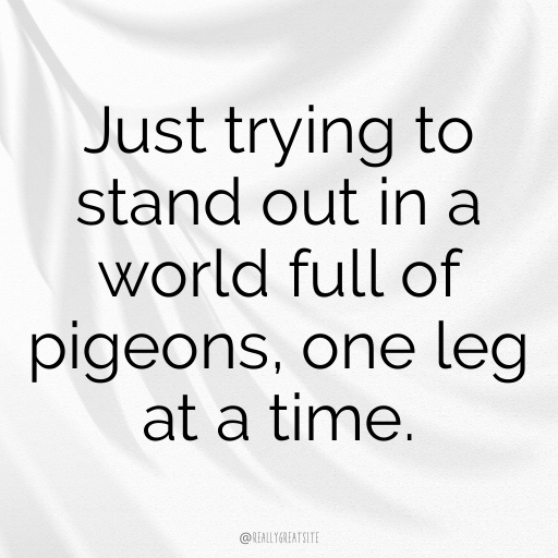 Flamingo Captions Photo For Instagram In (2025)-Bh3gcx