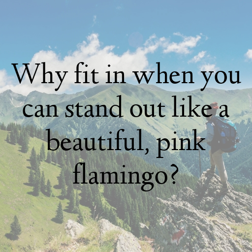 Flamingo Captions Photo For Instagram In (2025)-ZIM90y