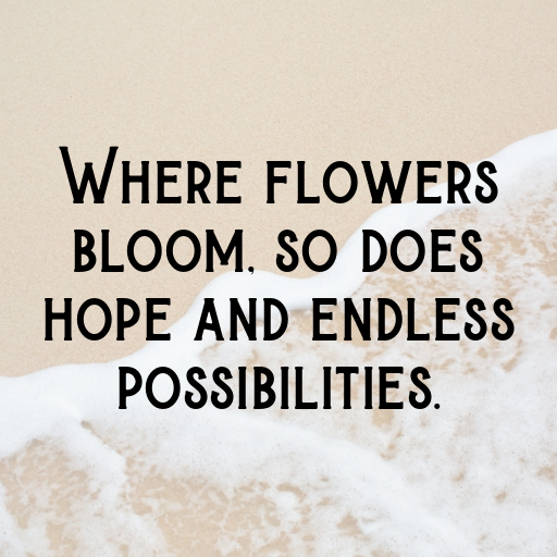 179+ Flower Field Captions for Instagram In (2025) 5 Flower Field Captions Image for Instagram In (2025)-VVI02m