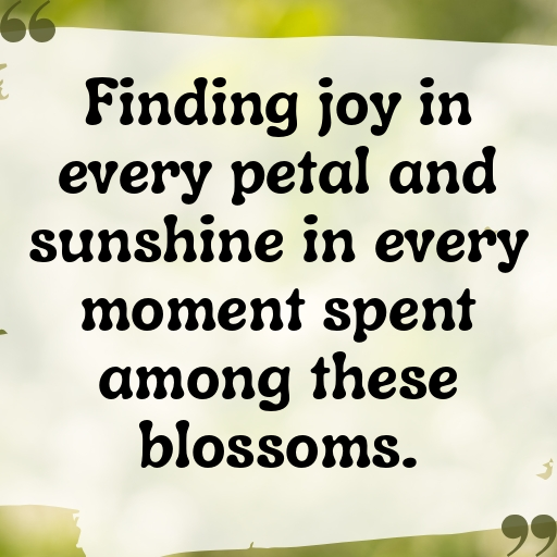 179+ Flower Field Captions for Instagram In (2025) 6 Flower Field Captions Image for Instagram In (2025)-WRb9qq