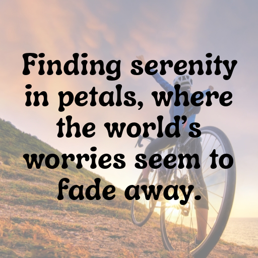 179+ Flower Field Captions for Instagram In (2025) 9 Flower Field Captions Image for Instagram In (2025)-X9CzWi