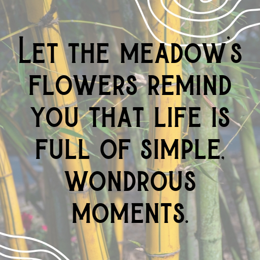 Flowery Meadow Captions Photo for Instagram In [2025]-nScduv