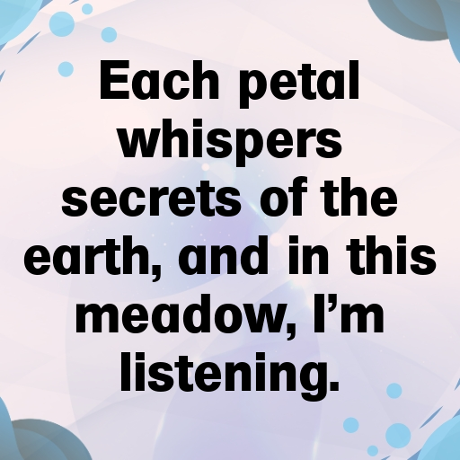 Flowery Meadow Captions Photo for Instagram In [2025]-Ufm7Ab