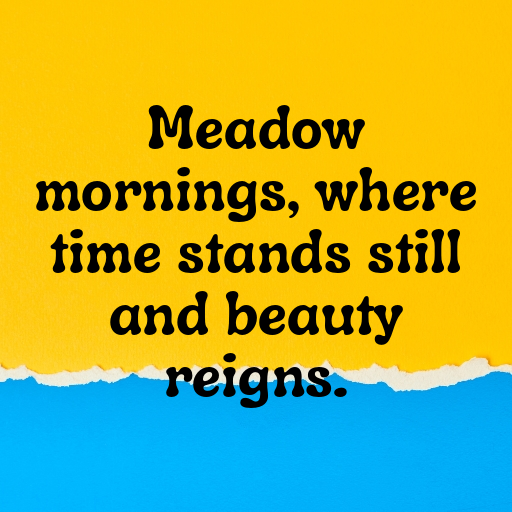 Flowery Meadow Captions Photo for Instagram In [2025]-whDZd6