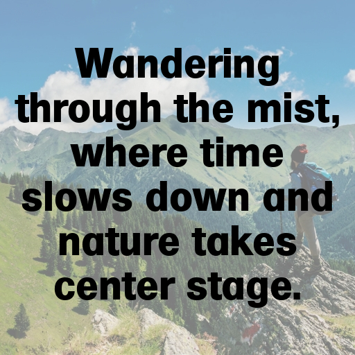 199+ Foggy Morning Captions for Instagram In (2025) 9 Foggy Morning Captions Image for Instagram In (2025)-6feZz0