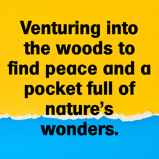 Forest Bathing Captions Image for Instagram In 2025-DBAaYI