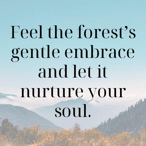 Forest Bathing Captions Image for Instagram In 2025-yZON7z