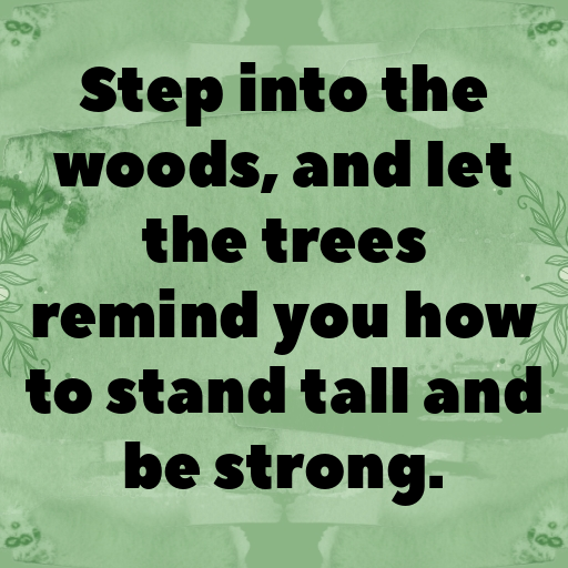 Forest Bathing Captions Photo for Instagram In 2025-FXFLny