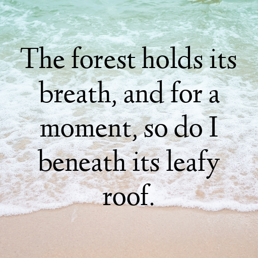 Forest Canopy Captions Image for Instagram In 2025-BGaKhp