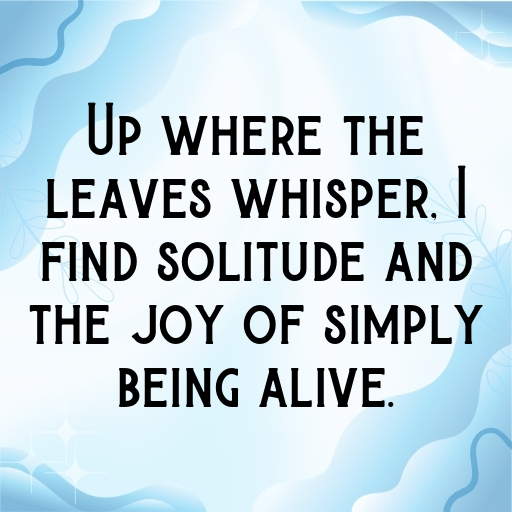 Forest Canopy Captions Image for Instagram In 2025-cy2YCu