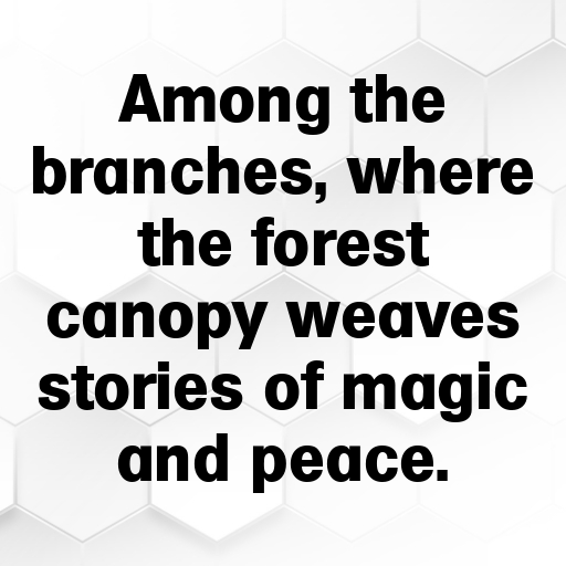 Forest Canopy Captions Image for Instagram In 2025-shGdFz