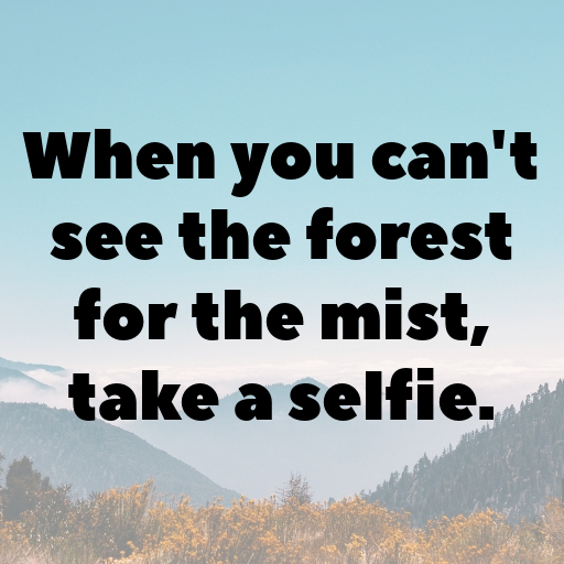 184+ Forest Mist Captions for Instagram In 2025 4 Forest Mist Captions Image for Instagram In 2025-aH0gHK