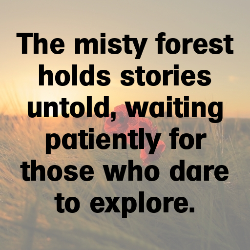 184+ Forest Mist Captions for Instagram In 2025 6 Forest Mist Captions Image for Instagram In 2025-jj6aGs