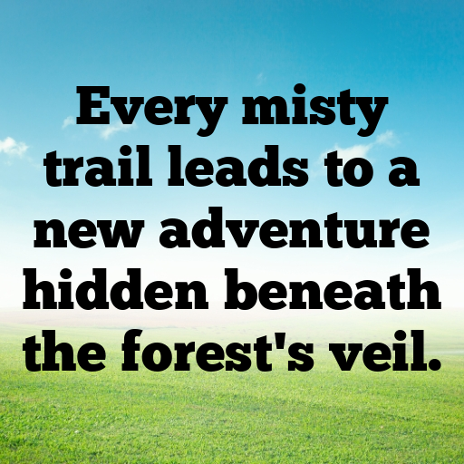 184+ Forest Mist Captions for Instagram In 2025 3 Forest Mist Captions Image for Instagram In 2025-odbhfp