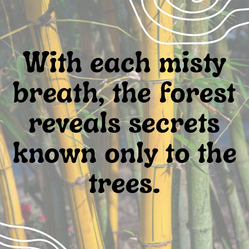 184+ Forest Mist Captions for Instagram In 2025 10 Forest Mist Captions Image for Instagram In 2025-woaq1b