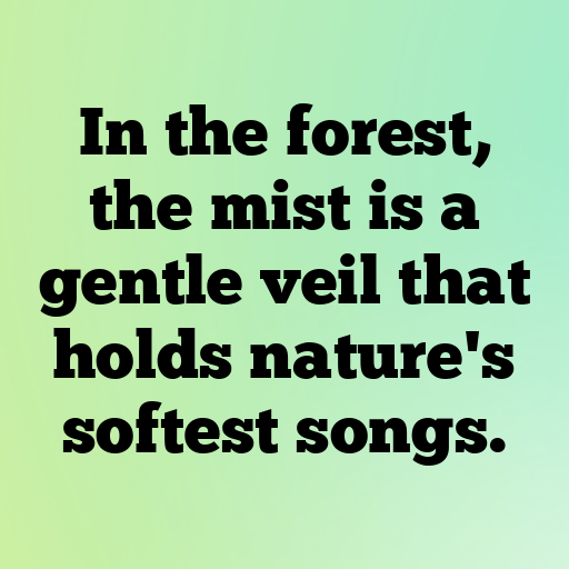 184+ Forest Mist Captions for Instagram In 2025 8 Forest Mist Captions Photo for Instagram In 2025-NLATeq