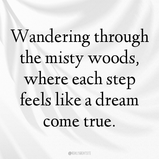 184+ Forest Mist Captions for Instagram In 2025 9 Forest Mist Captions Photo for Instagram In 2025-TopJX8