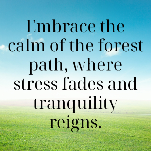 Forest Path Captions Image for Instagram In [2025]-8mU9Zz