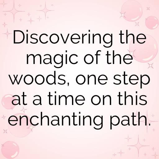 Forest Path Captions Image for Instagram In [2025]-bsag8D