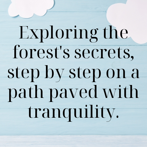 Forest Path Captions Image for Instagram In [2025]-OuggDW