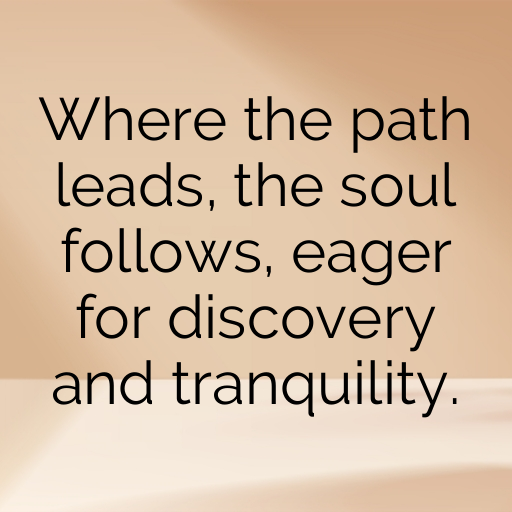 Forest Path Captions Photo for Instagram In [2025]-EDJVIR