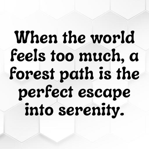 Forest Path Captions Photo for Instagram In [2025]-kGnc52