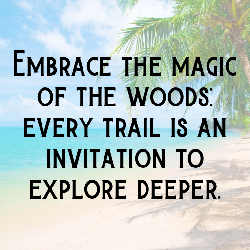 Forest Path Captions Photo for Instagram In [2025]-Ln1JI2